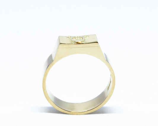 Doktorring PhD Universitet Oslo