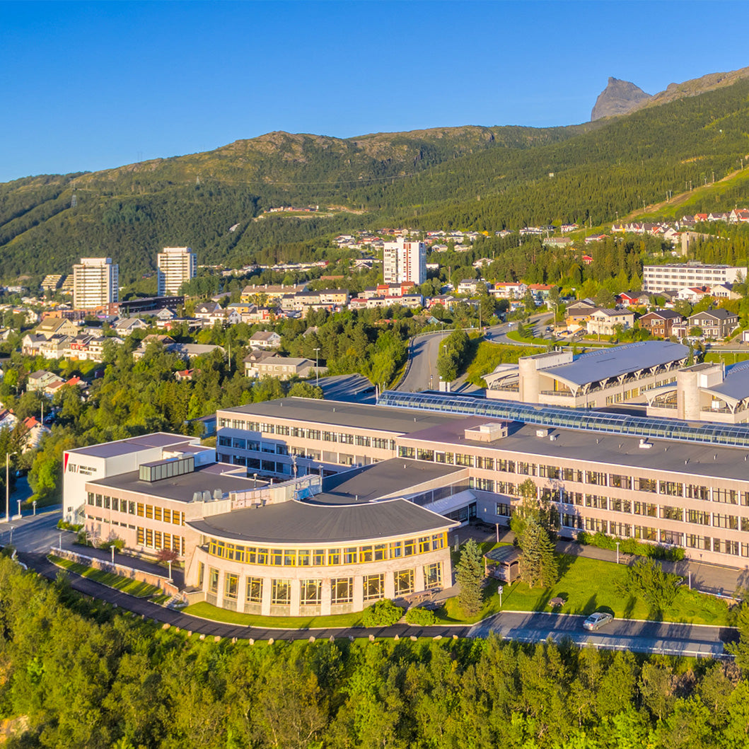 Masterring Narvik